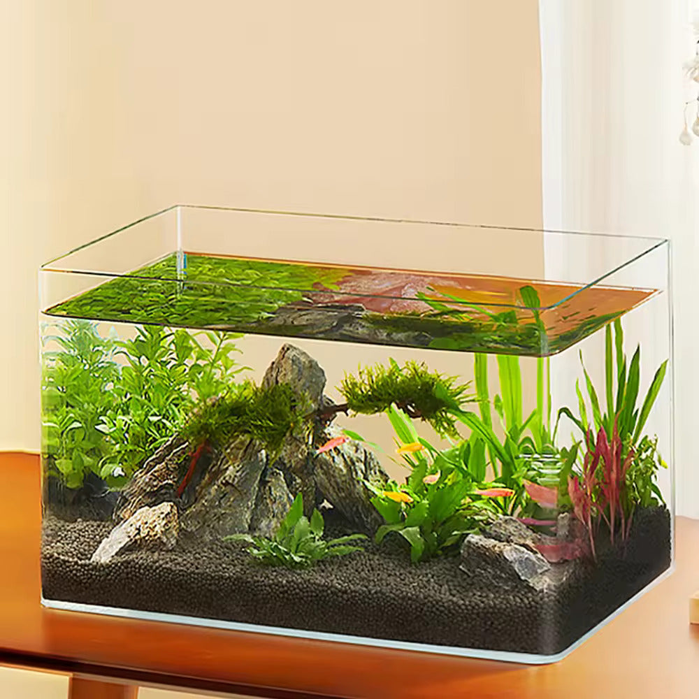 Fish Tank - Type I