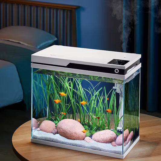 Fish Tank - Type VI Automatic Feeding