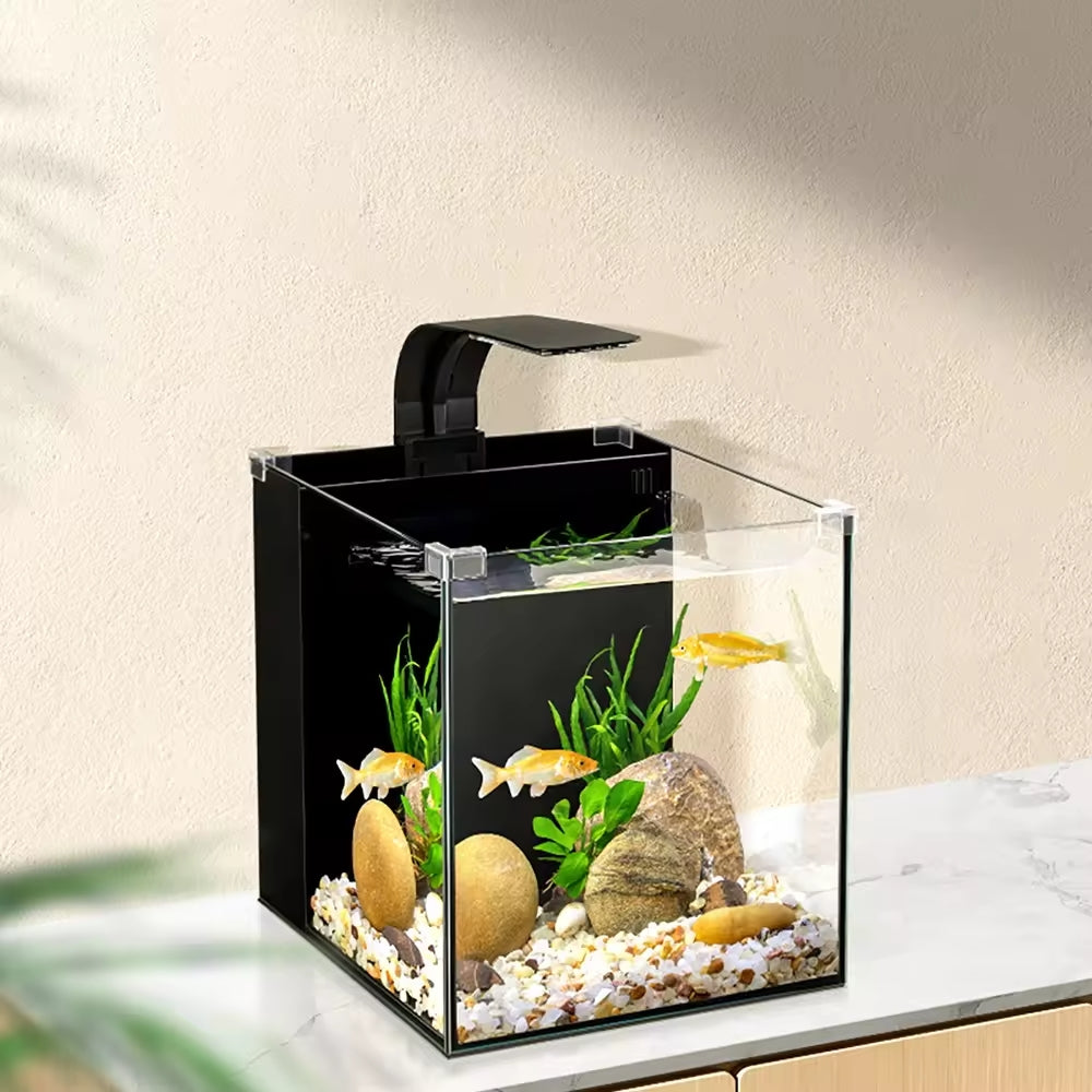 Fish Tank - Type II