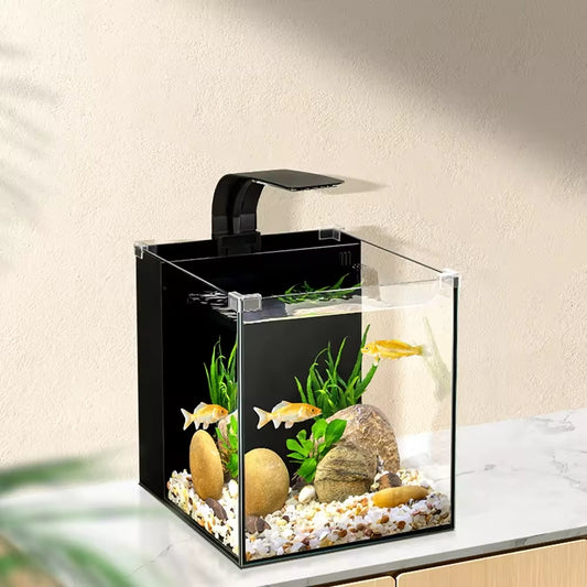 Fish Tank - Type II