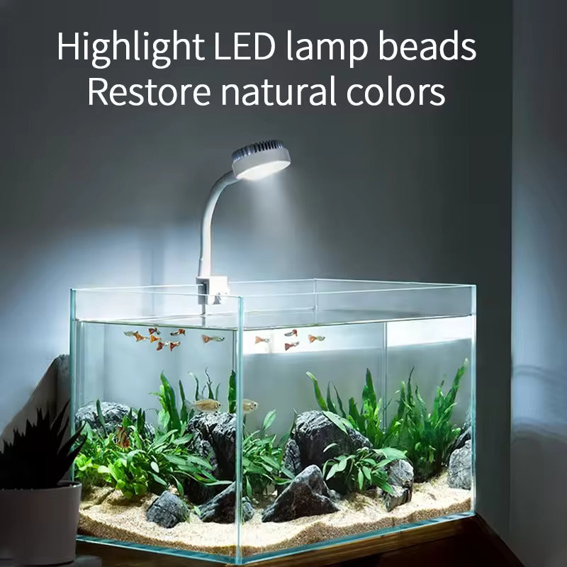 Nepall - Highlight LED Aquarium Lighting
