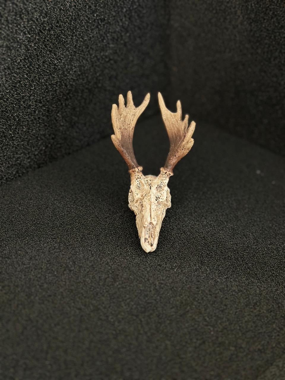 Deer Trumpet Skull
