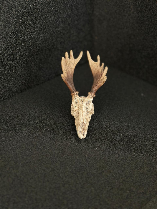 Deer Trumpet Skull