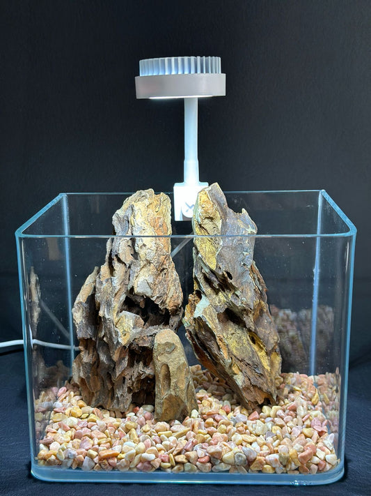 Green Dragon Stone - 500g