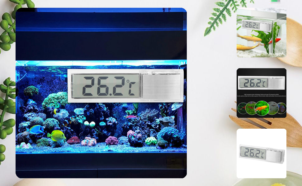 Electronic Thermometer